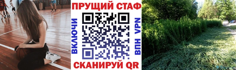 Купить закладку Сенгилей ГАШ  A-PVP  MDMA  Меф 