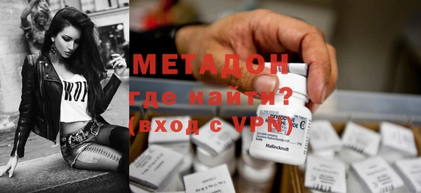 прущие грибы Елизово