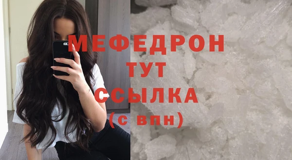 МДПВ Ельня