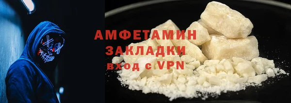 прущие грибы Елизово