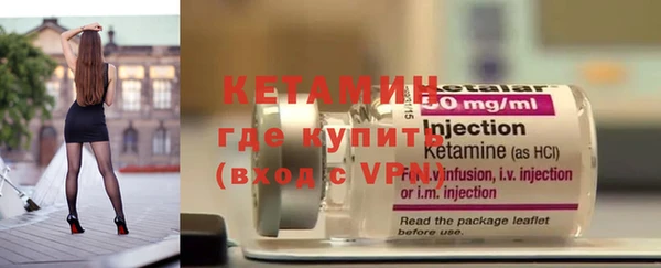 прущие грибы Елизово