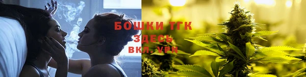 прущие грибы Елизово