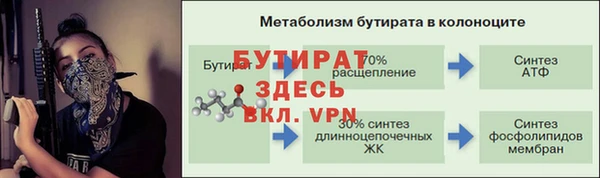 прущие грибы Елизово