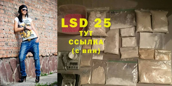 МДПВ Ельня