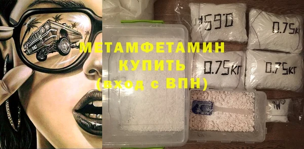 прущие грибы Елизово