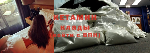 прущие грибы Елизово