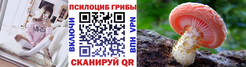 Псилоцибиновые грибы MAGIC MUSHROOMS  Сенгилей 